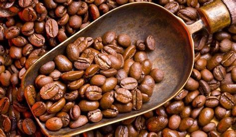 100%阿拉比卡咖啡豆是什么意思？阿拉比卡豆风味口感形态特点产区什么档次 中国咖啡网