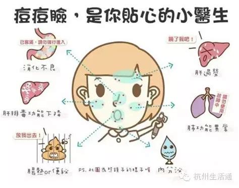 面部反射区图图片