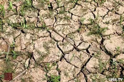 2022年汛期是旱、是涝？国家气候中心发布最新预测_我国_气象_情况