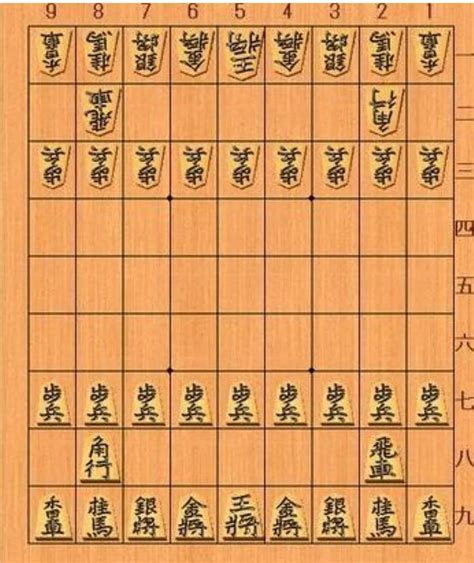 将棋规则详解大全（日本将棋的游戏介绍及简单规则） | 说明书网