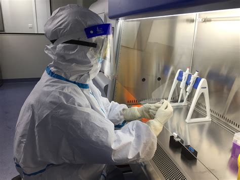 宜宾市首家县级核酸检测实验室正式启用 - 行业资讯 - 实验室在线
