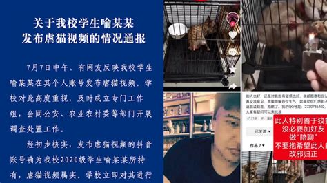 重庆城市科技学院通报“学生发布虐猫视频”：属实，将严肃处理_手机新浪网