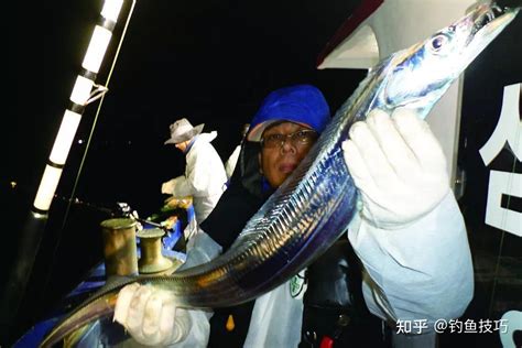 带鱼的热量(卡路里cal),带鱼的功效与作用,带鱼的食用方法,带鱼的营养价值