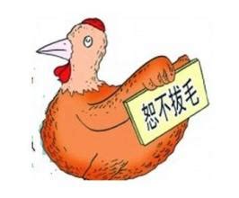 铁公鸡的意思比喻什么人，铁公鸡的意思是指哪一类人_竞价网