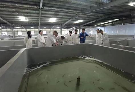 2022年唐山海都红鳍东方鲀良种选育项目阶段性验收通过 - 唐山海都水产食品有限公司