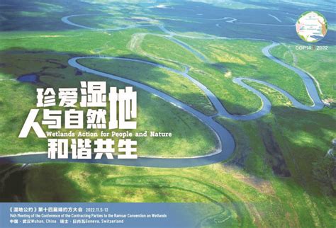 GEP要超过GDP！上海崇明启动新一轮世界级生态岛发展规划|界面新闻
