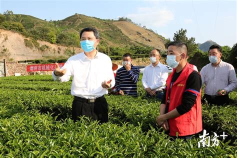 茶叶品质特征成分和营养功效研究平台与技术_新技术_中国农业科学院茶叶研究所