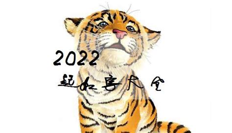 宝宝起名2022年属虎,20年属虎取名字,新潮的婴儿小名(第18页)_大山谷图库