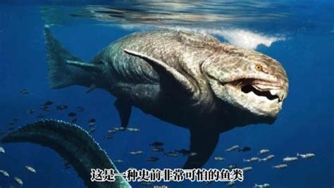 科普展讯 | 远古海洋生物闪现惠州市博物馆_化石_疫情_生命史