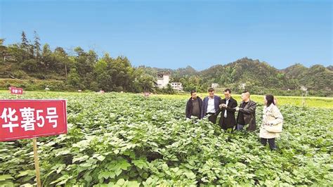 毕业旅行|湖北恩施三日游-恩施旅游攻略-游记-去哪儿攻略