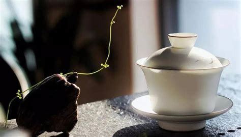 喝茶失眠怎么办：掌握7个喝茶技巧，喝茶失眠解决了！ - 茶文化 - 茶道道|中国茶道网