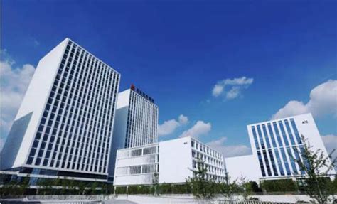 延安市政府组织召开我院专业建设与发展规划座谈会-延安职业技术学院