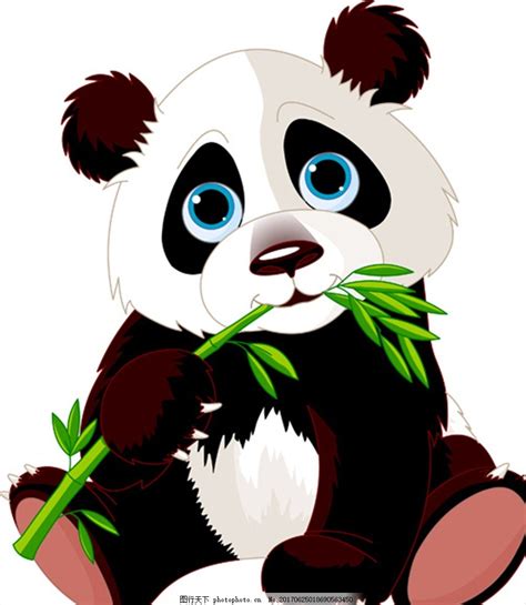 大熊猫系列插画|插画|插画习作|Albizia__ - 原创作品 - 站酷 (ZCOOL)