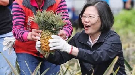 大陆3月起禁止进口台湾菠萝 蔡英文本人回应了_凤凰网资讯_凤凰网