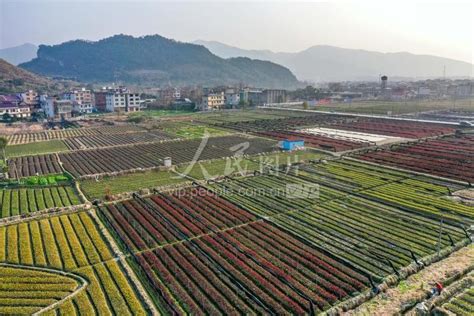 江西省宜春市丰城市其他土地10亩仅限用于流转- 聚土网