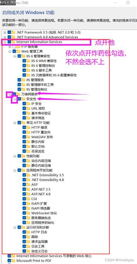 IIS部署ASP网站项目详细教程（内部含有子目录）-CSDN博客