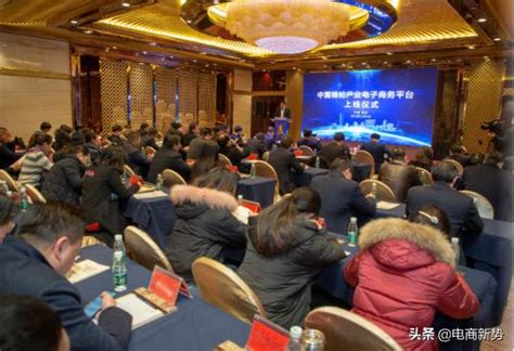 祝贺！中国锦纶产业电子商务平台在海安上线！|锦纶|海安|海安市_新浪新闻