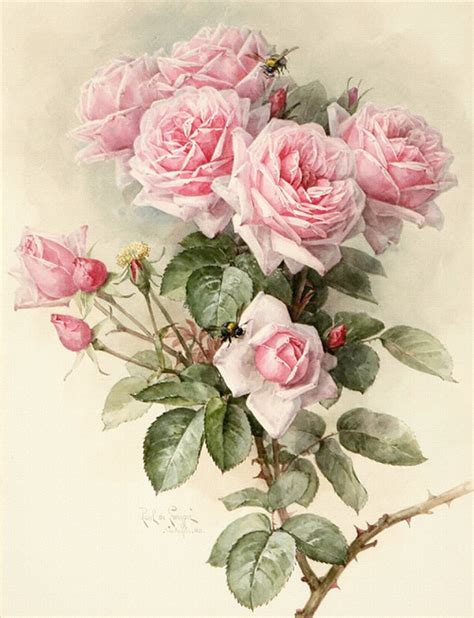 和玫瑰有关的唯美句子 玫瑰花最经典的诗句_泰兴婚纱摄影网