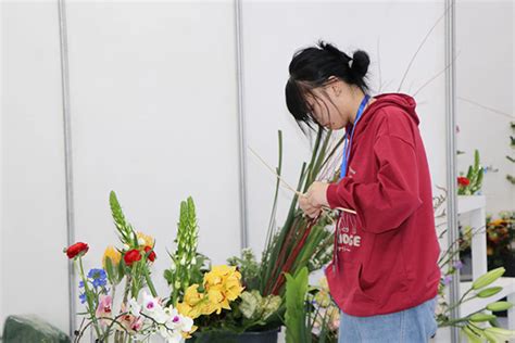 重庆首届春“遇”金香主题花艺展览，在重庆太寺垭森林公园举行-聚焦城市网