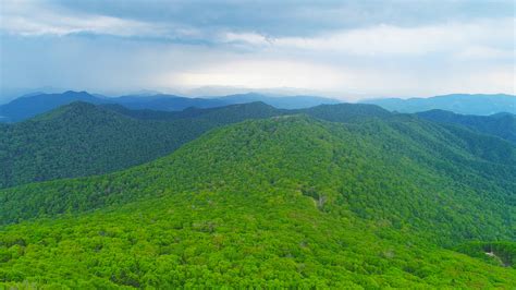 人工造林更新50万亩 吉林省大规模国土绿化行动初见成效-中国吉林网