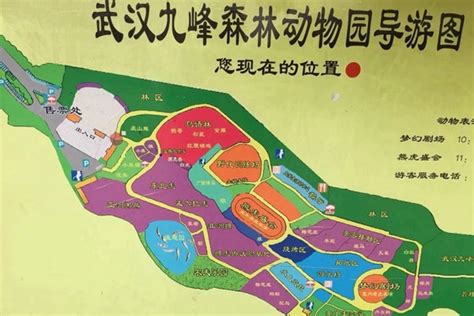 2023武汉九峰山森林动物园门票线上预订入口 附优惠政策_旅泊网