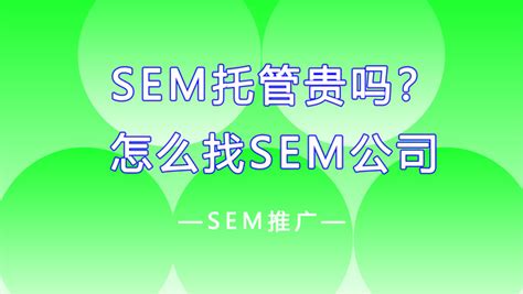 sem托管优化服务案例：**旅游公司竞价托管-上海sem公司-上海SEO公司
