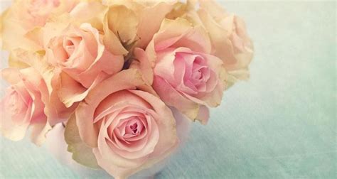 18朵玫瑰花代表的意义与寓意（花语与传说、送礼场合、象征意义与心意）_花植网