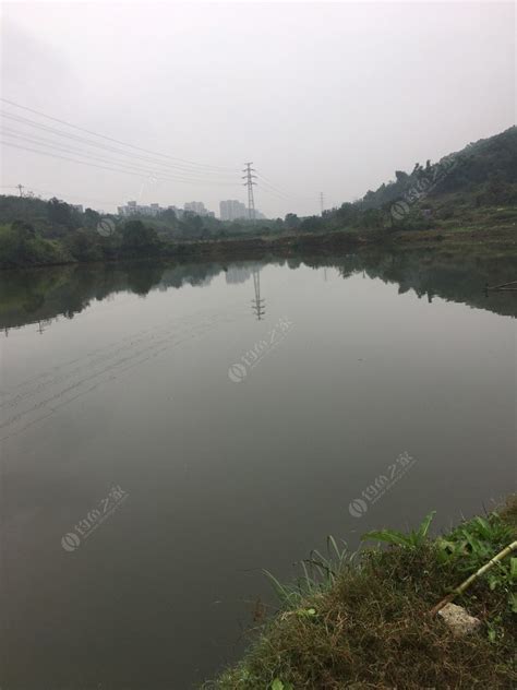 宏运高炮钓场_宏运高炮钓场地址_宏运高炮钓场电话 - 钓鱼人