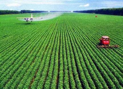 天柱县“三措施”大力推广现代农业新技术 - 深圳市绿然展业发展有限公司