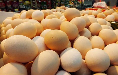 山东：鸡蛋价格正式迈入“5元时代”_齐鲁原创_山东新闻_新闻_齐鲁网