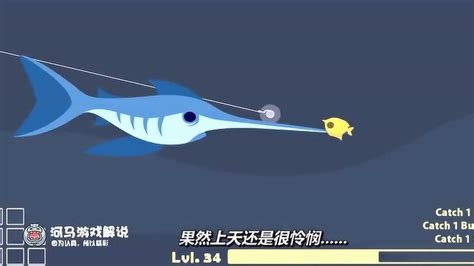 小猫钓鱼：河马哥钓到一只钢铁鱼，后边的小蓝鱼对它不离不弃！