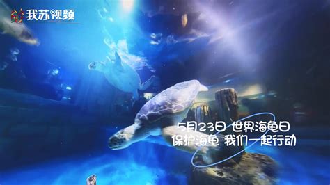 最新活动--南京海底世界官方网站
