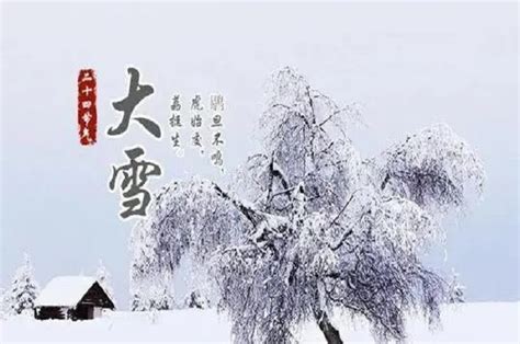南京大雪，有人写了一首诗，突然火了…_手机新浪网