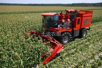 滨州农机作业-玉米收割农业服务_滨州农机作业-玉米收割面议 - 土流网