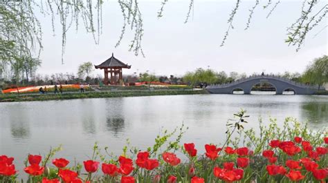 台州湾新区的石榴红主题公园和石榴红家园揭牌开园-台州频道