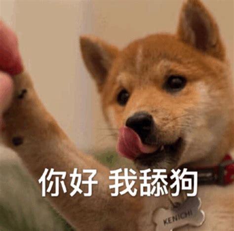 非主流舔狗头像