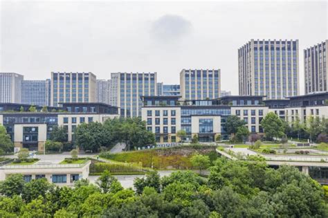 今年首批重庆市创新型中小企业名单公布 渝中29家企业上榜！-上游新闻 汇聚向上的力量