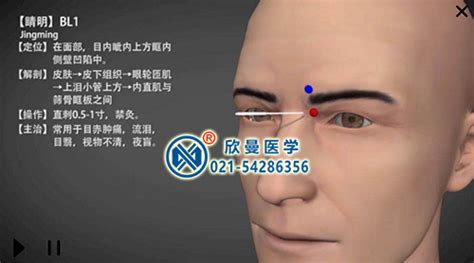 3D中医经络腧穴解剖教学平台_上海欣曼科教设备有限公司