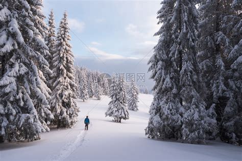 一个人在雪地上走着雪鞋高清图片下载-正版图片502958993-摄图网