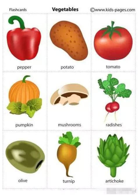 常见的蔬菜图片带名字,蔬菜名字图片名称,蔬菜图片大全带名字_大山谷图库