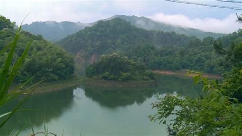 全南县桃江源生态湿地公园 | 赣南林业网