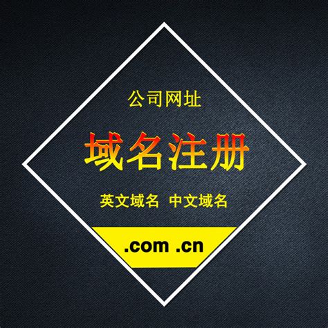 网址注册企业网站域名.com公司网址申请购买.cn中文网址免费备案-淘宝网