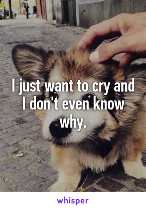 I Just Want To Cry Quotes. QuotesGram