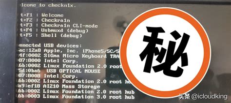 苹果iOS10.1-iOS10.3.3系统越狱教程，20秒就搞定了！