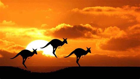 环旅澳洲、永居、绿卡、一文为您解析澳洲移民方式、条件和流程！快速办理 - 知乎