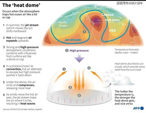 阿尔及利亚60℃高温，骆驼都被热晕，我国40℃高温来袭？地球究竟怎么了？_天气