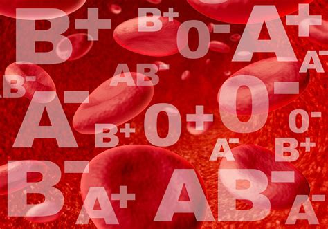 A型、B型、AB型、O型，哪种血型的人身体更健康？本文告诉你 - 知乎