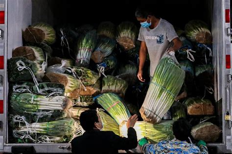 “九鼎”力保蔬果市场量足价稳--克拉玛依网