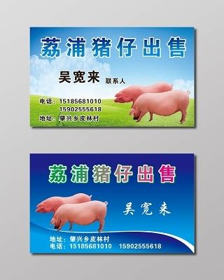 绿色猪肉简约名片图片下载 - 觅知网