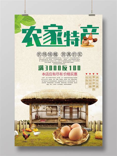新鲜竹笋土特产宣传海报